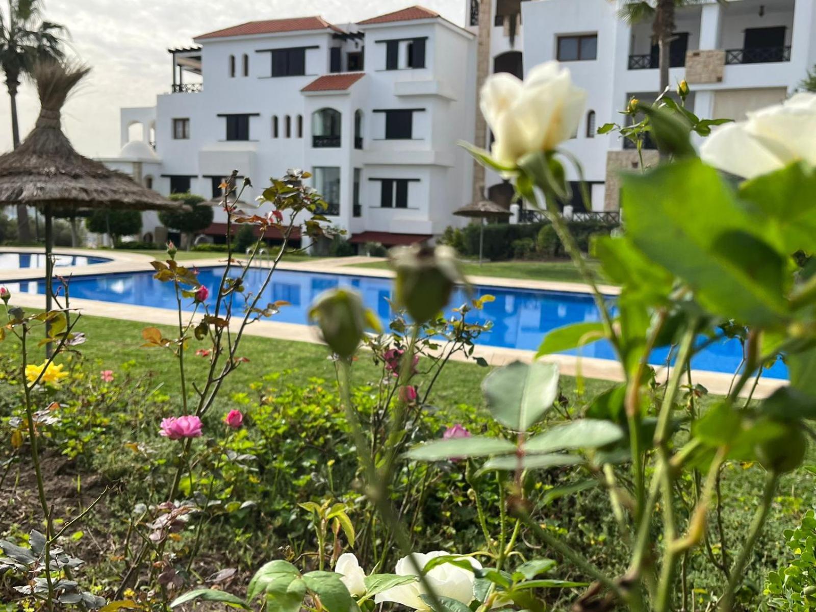 Lilac'S Garden Vue Piscine M'dik Zewnętrze zdjęcie